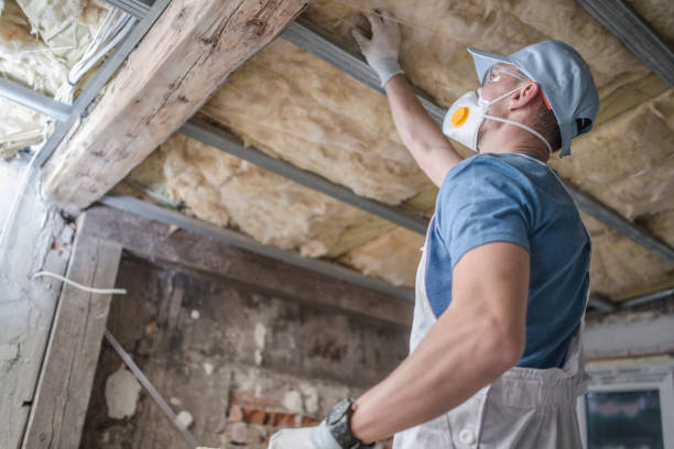 Best Energy-efficient Insulation  in Lake Cassidy, WA