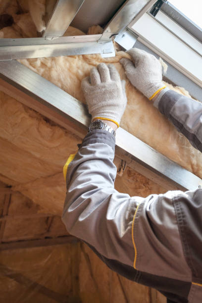 Best Soundproof Insulation Installation  in Lake Cassidy, WA