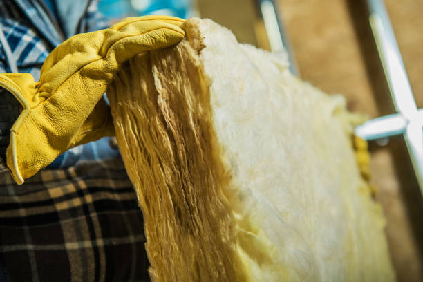 Best Crawl Space Insulation  in Lake Cassidy, WA