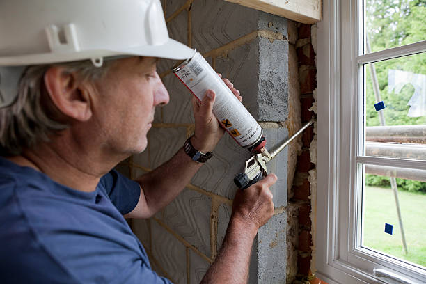 Best Insulation Inspection Services  in Lake Cassidy, WA