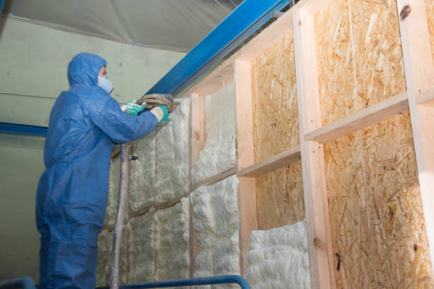 Best Blown-in Insulation  in Lake Cassidy, WA